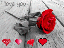 3d gif ecard gif animation  bw retro photo flower heart i love you kiss red happy Birthday  jokes glitter graphics pictures etc cartoons, funny photos, gifs, graphics icons free download b